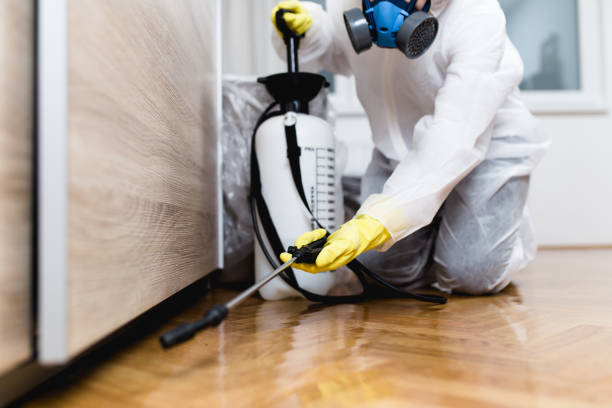 Best Local Pest Control Services  in Eunice, LA