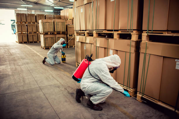 Best Affordable Pest Control Services  in Eunice, LA