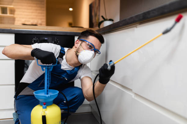 Best Pest Control for Businesses  in Eunice, LA