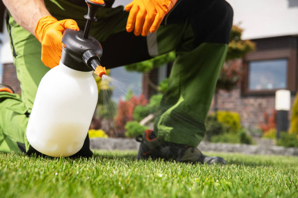 Best Wildlife Control Services  in Eunice, LA