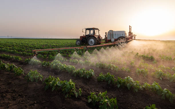 Best Pest Removal Services  in Eunice, LA