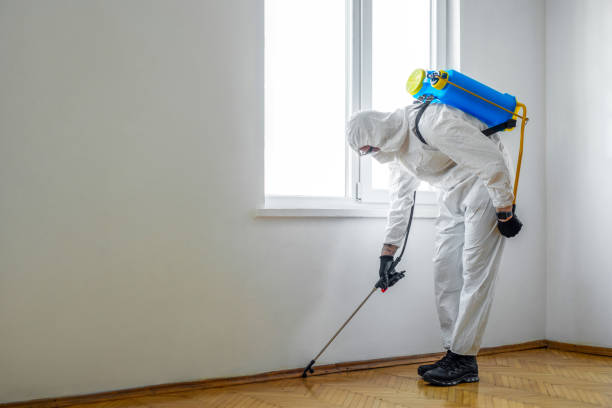 Insect Control in Eunice, LA