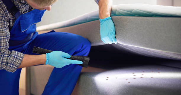 Best Best Pest Control Companies  in Eunice, LA