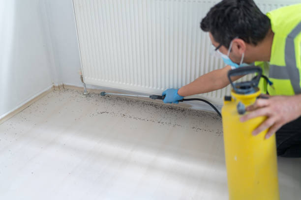 Best Best Pest Control Near Me  in Eunice, LA