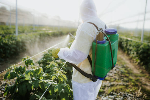 Best Rat Extermination Near Me  in Eunice, LA